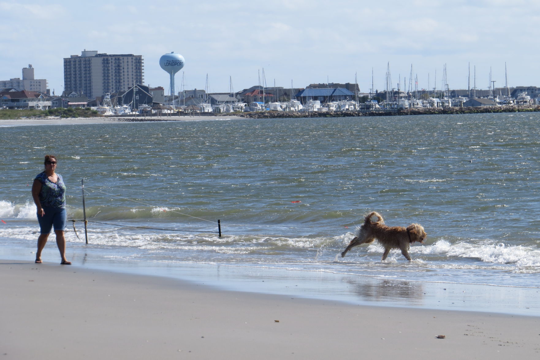 100816_urg_cdb_dogbeach (8).JPG